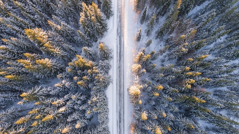 Nature Connection